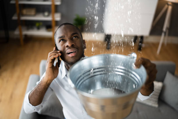 Best Water damage mitigation services  in Columbia, PA