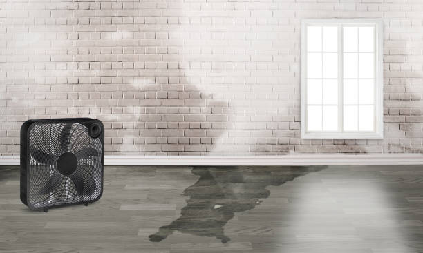 Best Professional water damage repair  in Columbia, PA