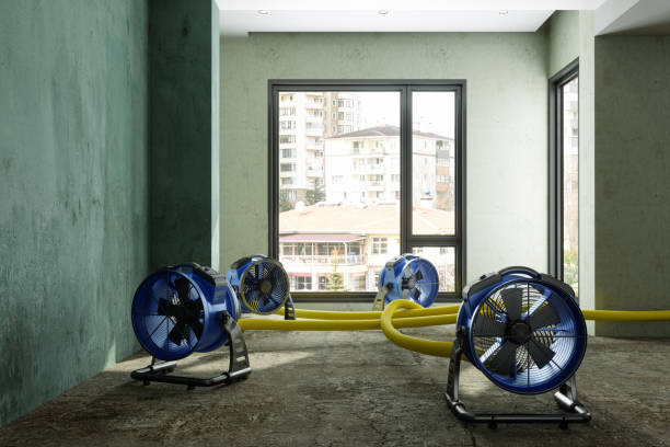 Best Water damage restoration near me  in Columbia, PA