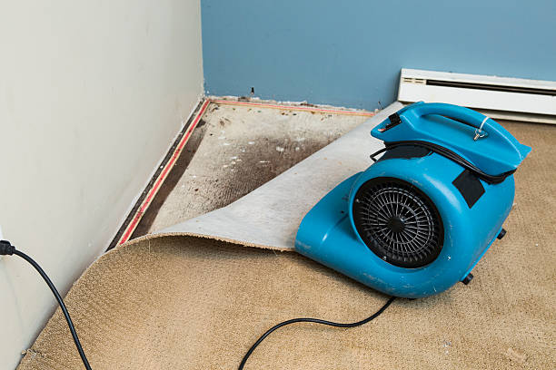Best Water damage contractors near me  in Columbia, PA